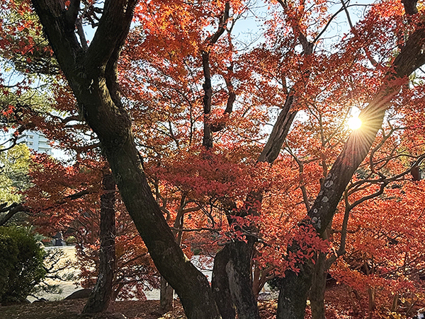 すまいをトーク