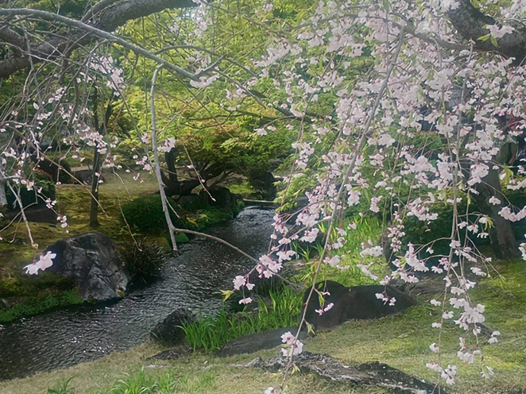 すまいをトーク