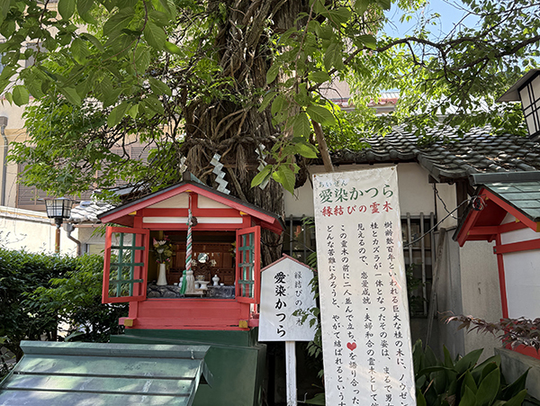 すまいをトーク